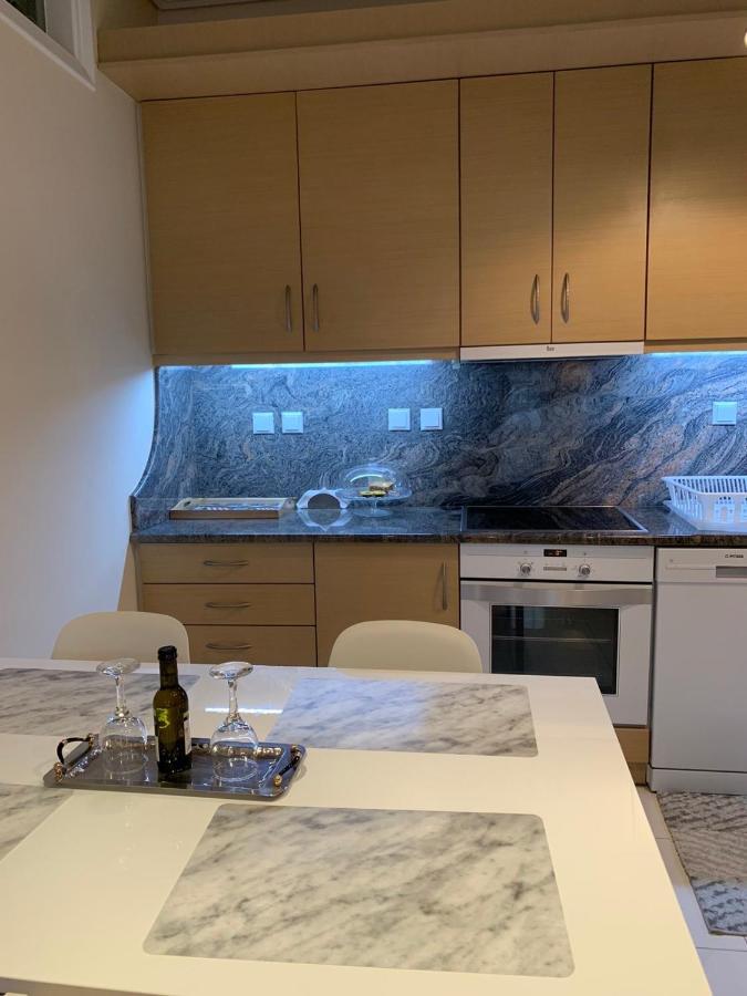 New Luxury Apartment In Central Suburb Of Athen Eksteriør billede